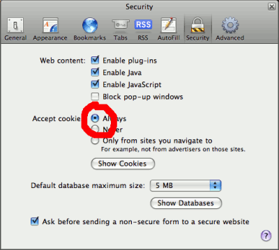 screenshot of safari security prefs